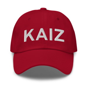 Lee C Fine Memorial Airport (KAIZ) ICAO Hat