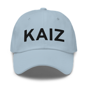 Lee C Fine Memorial Airport (KAIZ) ICAO Hat