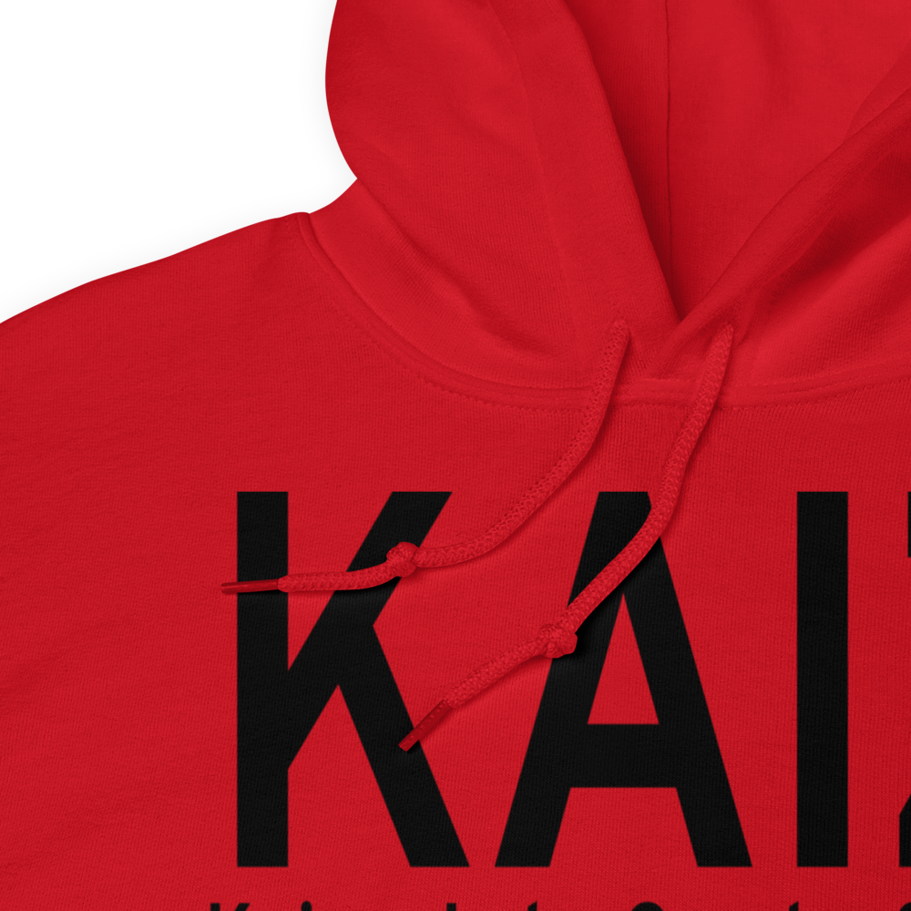 Lee C Fine Memorial Airport (KAIZ) ICAO Hoodie Sweatshirt 