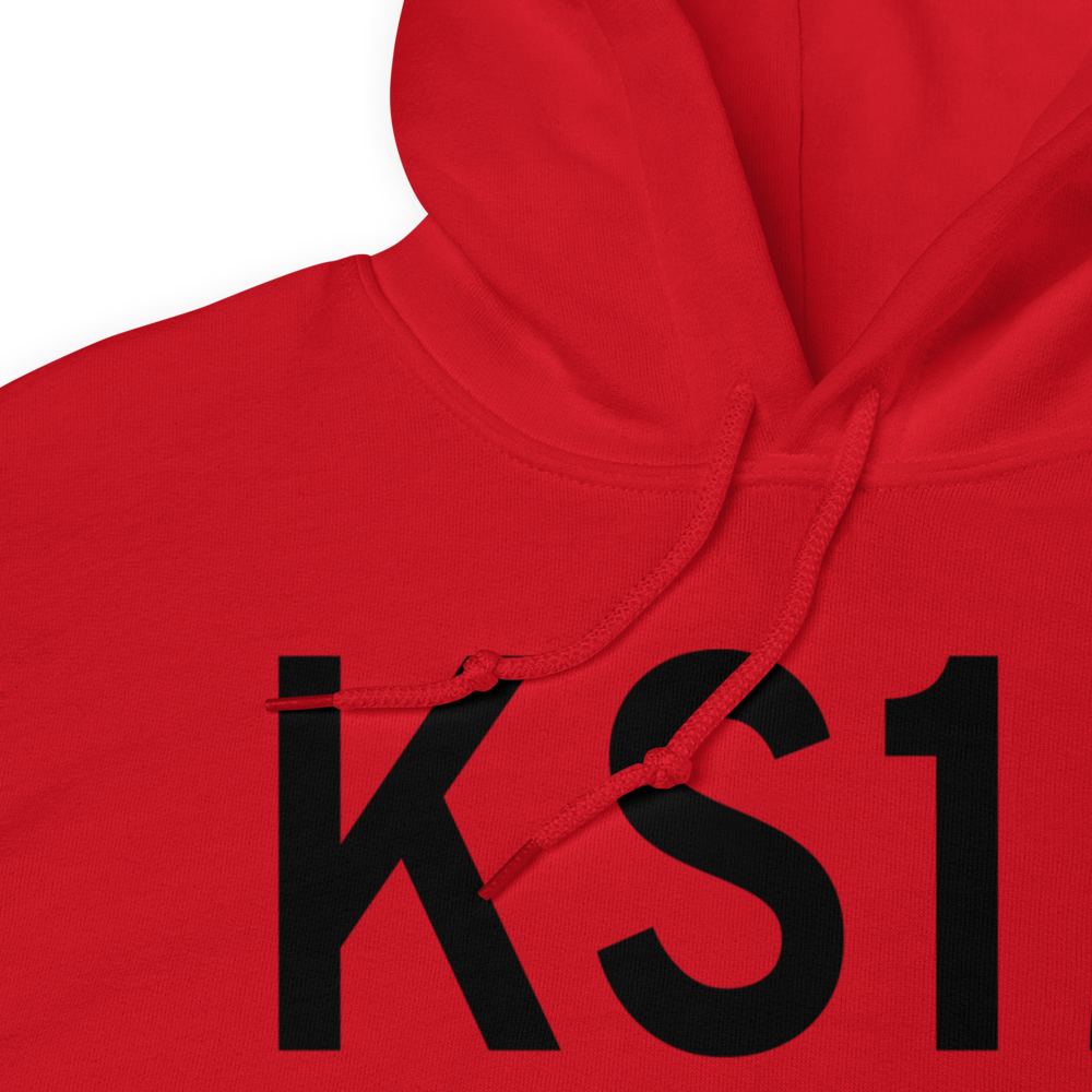 Albany Municipal Airport (KS12) ICAO Hoodie Sweatshirt 