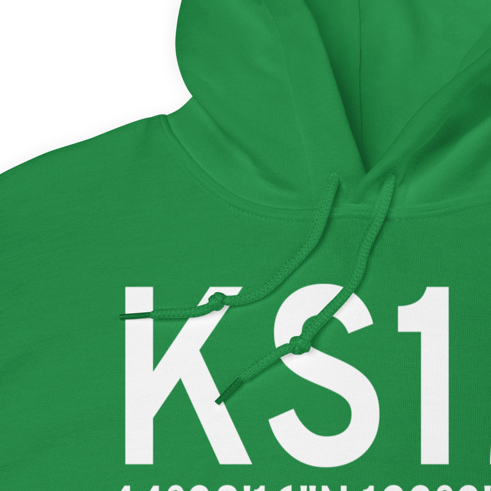 Albany Municipal Airport (KS12) ICAO Hoodie Sweatshirt 