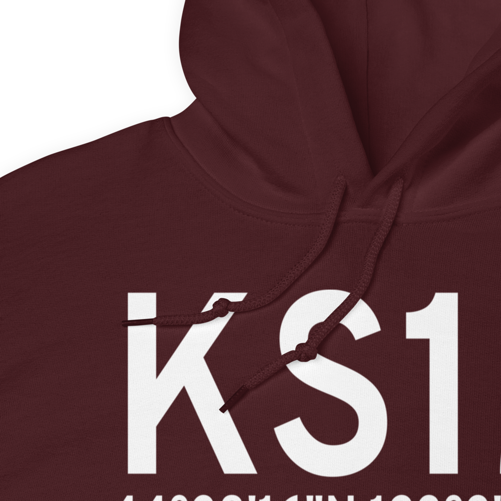 Albany Municipal Airport (KS12) ICAO Hoodie Sweatshirt 