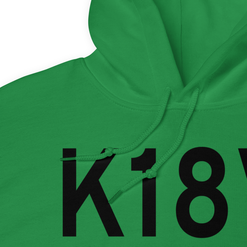 Platte Valley Airpark (K18V) ICAO Hoodie Sweatshirt 