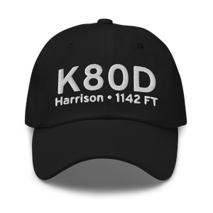 Clare County Airport (K80D) ICAO Hat