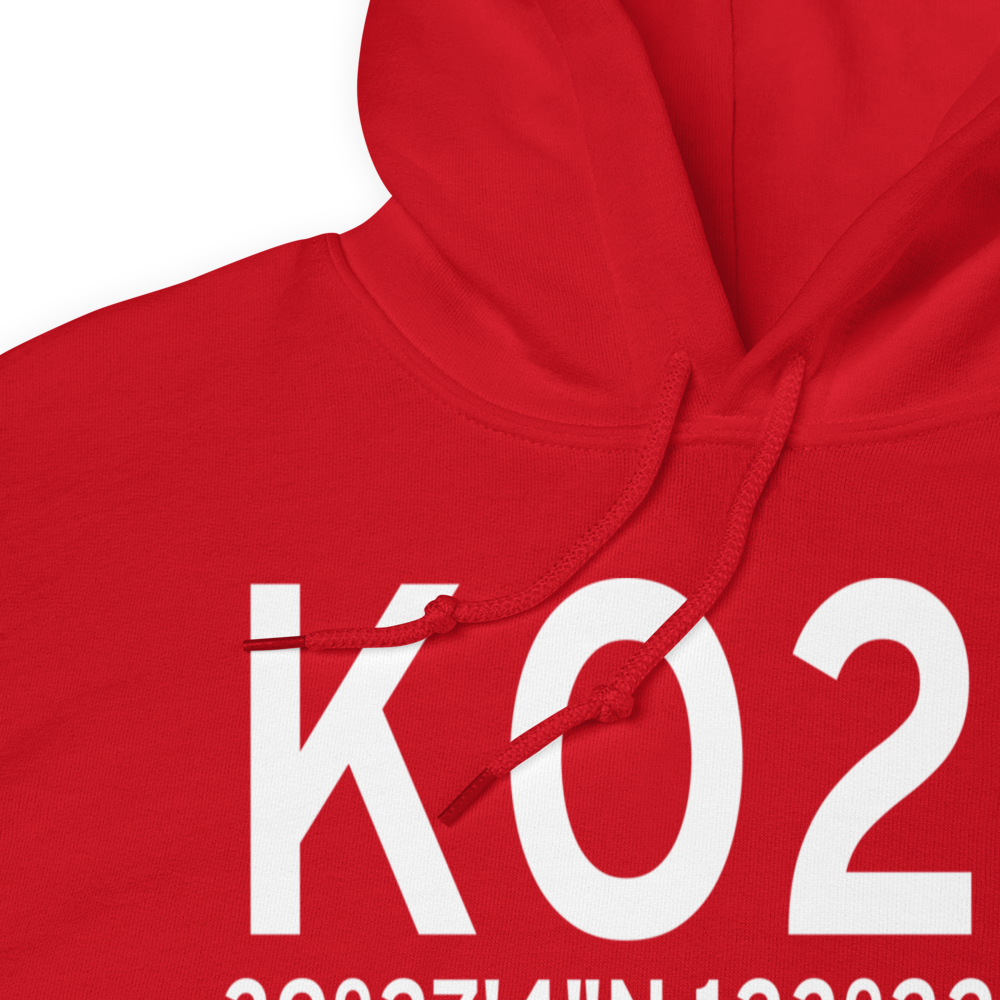 Ells Field Willits Municipal Airport (KO28) ICAO Hoodie Sweatshirt 