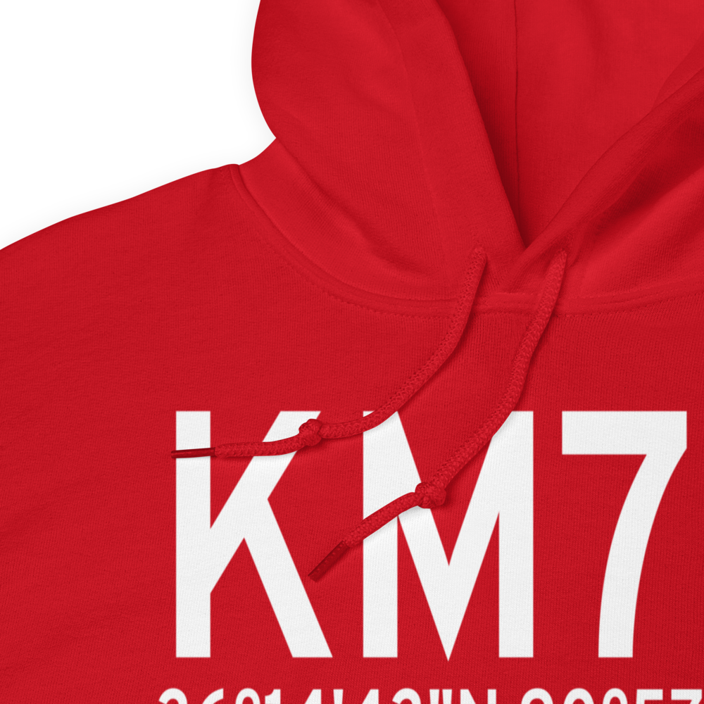Pocahontas Municipal Airport (KM70) ICAO Hoodie Sweatshirt 