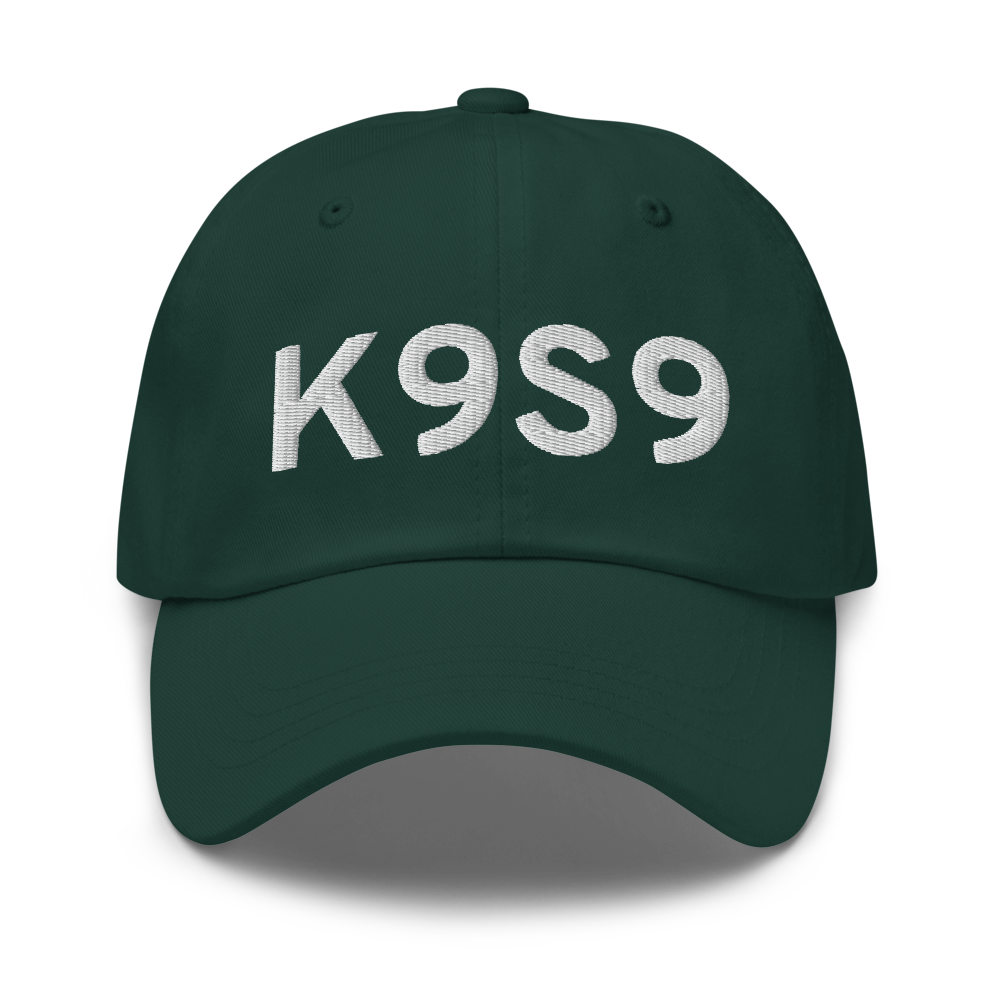 Lexington Airport (K9S9) ICAO Hat 