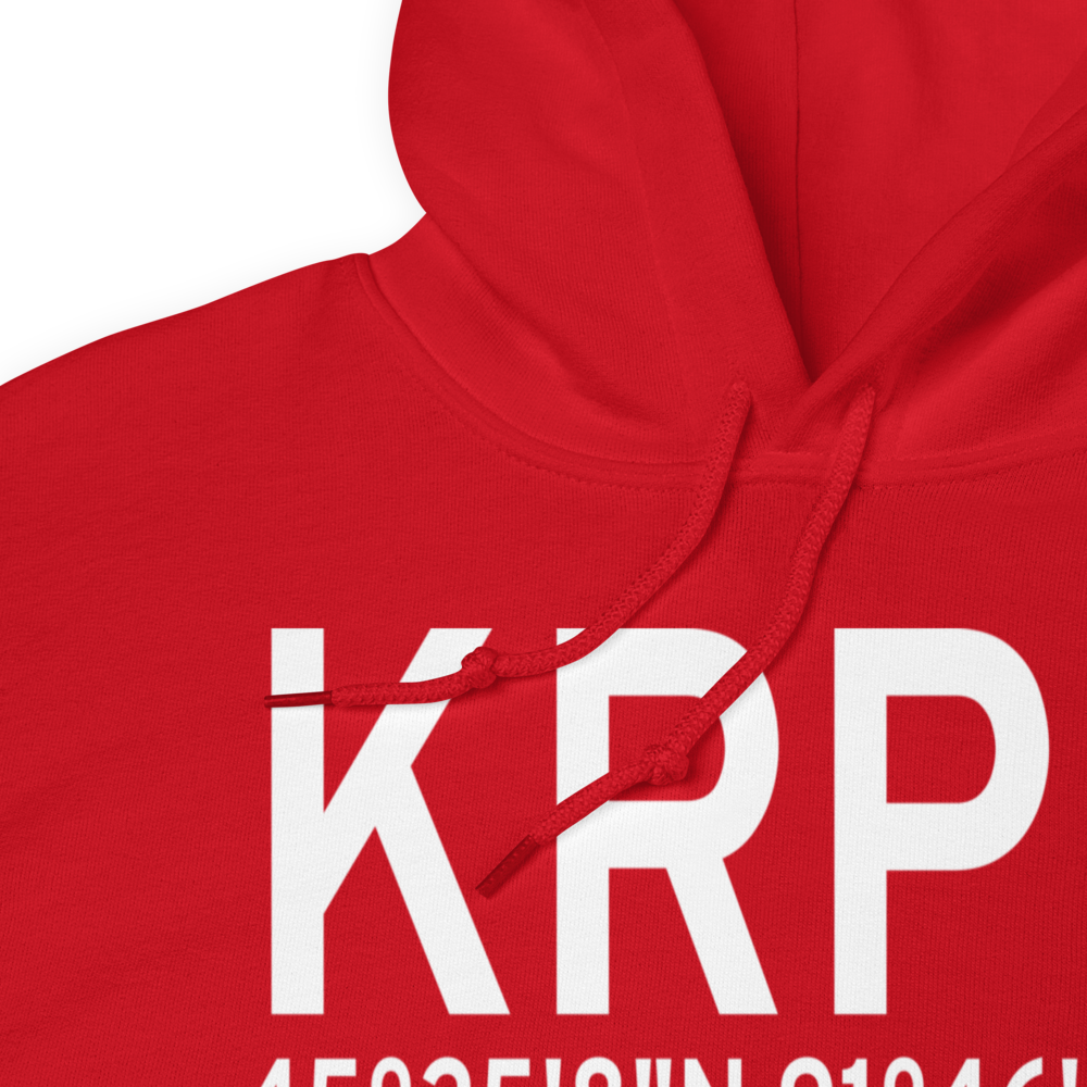 Rice Lake Regional Airport - Carl's Field (KRPD) ICAO Hoodie Sweatshirt 