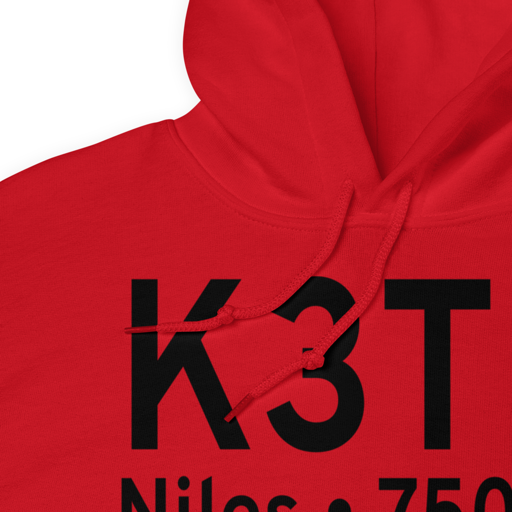 Jerry Tyler Memorial Airport (K3TR) ICAO Hoodie Sweatshirt 
