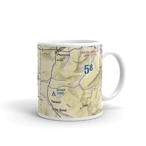 Willard Field (73S) VFR Sectional  Mug