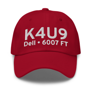 Dell Flight Strip (K4U9) ICAO Hat