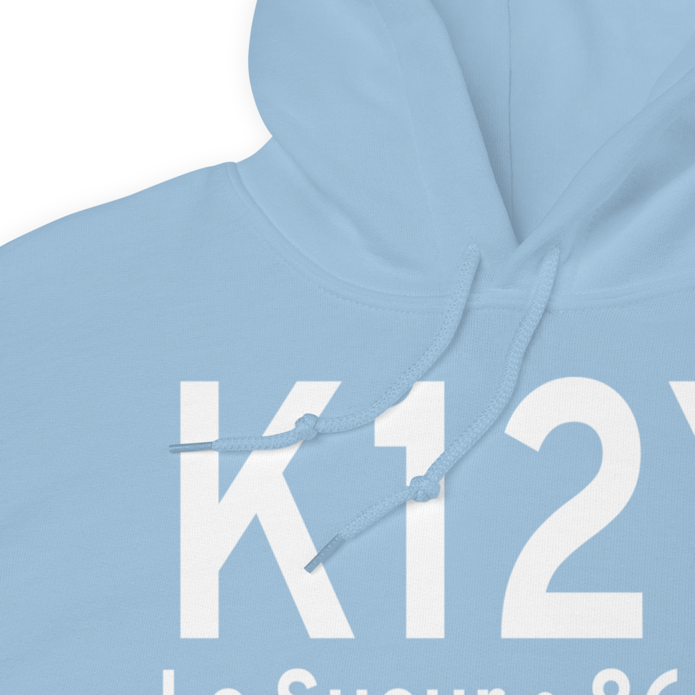Le Sueur Municipal Airport (K12Y) ICAO Hoodie Sweatshirt 