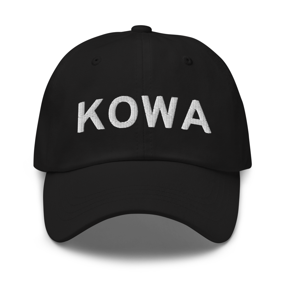 Owatonna Degner Regional Airport (KOWA) ICAO Hat 