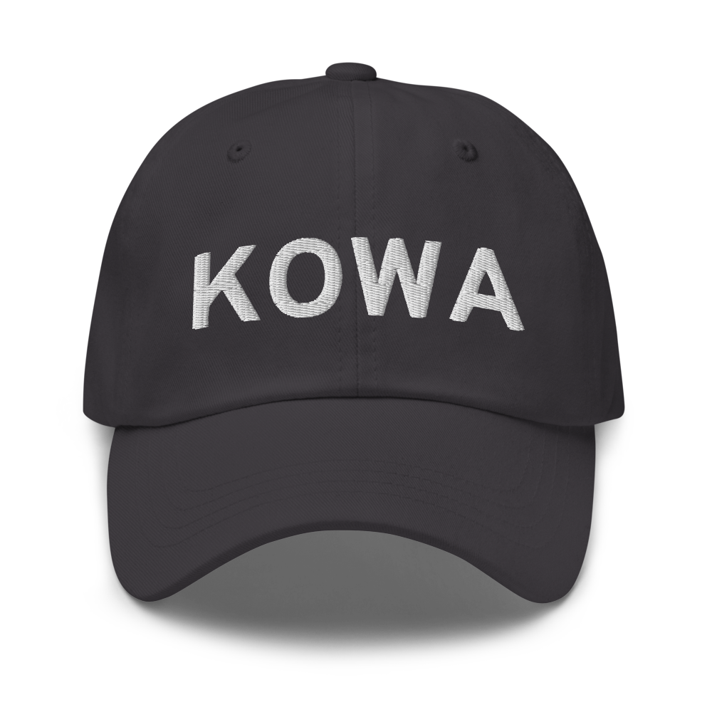 Owatonna Degner Regional Airport (KOWA) ICAO Hat 