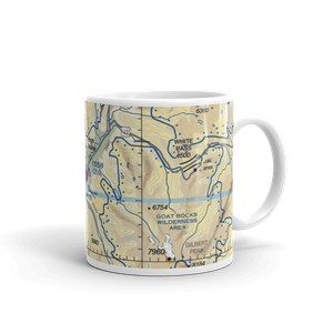 Packwood Airport (55S) VFR Sectional  Mug