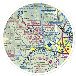 Skyport Airport (4S4) VFR Sectional Sticker (30 mile)