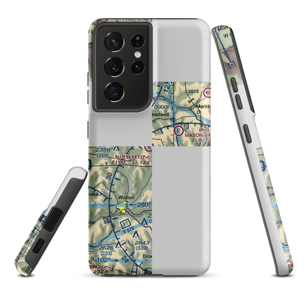 Blueberry Field (7NK6) VFR Sectional Samsung Phone Case Samsung Galaxy S21 Plus model shown