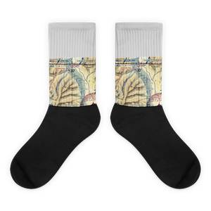 Eckhart International Airport (1S1) VFR Sectional Socks