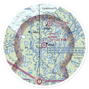 Alpine Airstrip (DQH) VFR Sectional Sticker (20 mile)