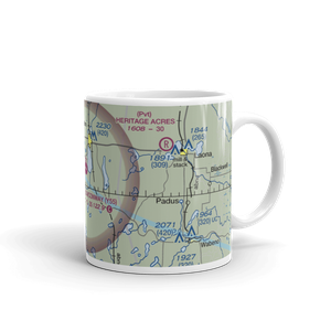 Crandon Municipal Airport (Y55) VFR Sectional  Mug