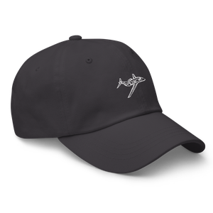 SyberJet SJ30 Business Jet Hat