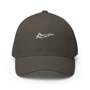 USAF's Dominant F-22 Raptor 2 Flexfit Hat