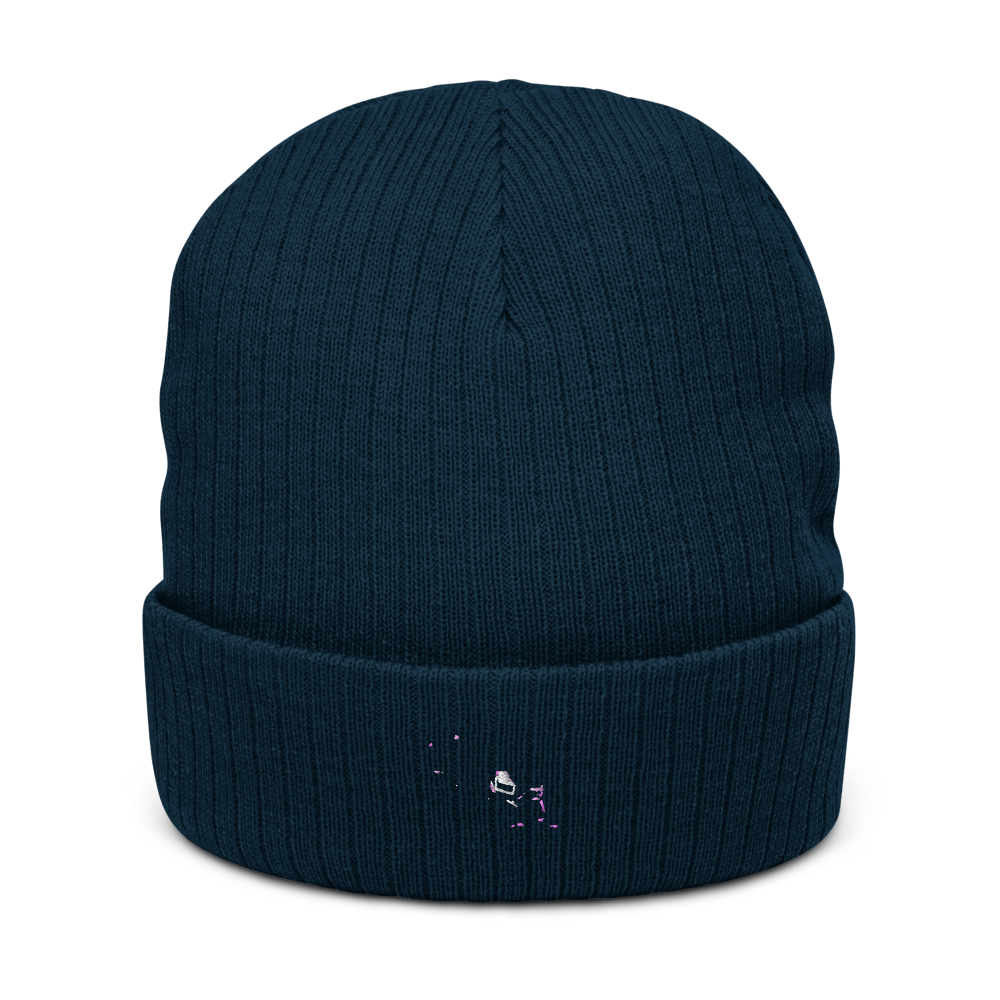 Tecnam P92 Light Sport Aircraft Atlantis Recycled Cuffed Beanie 