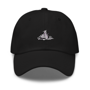 Air Command Sport Homebuilt LSA Hat