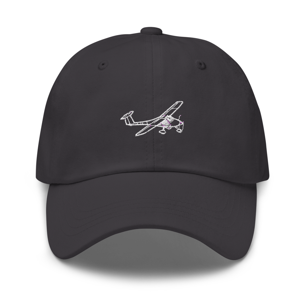 Pipistrel's Sporty Homebuilt LSA Hat 