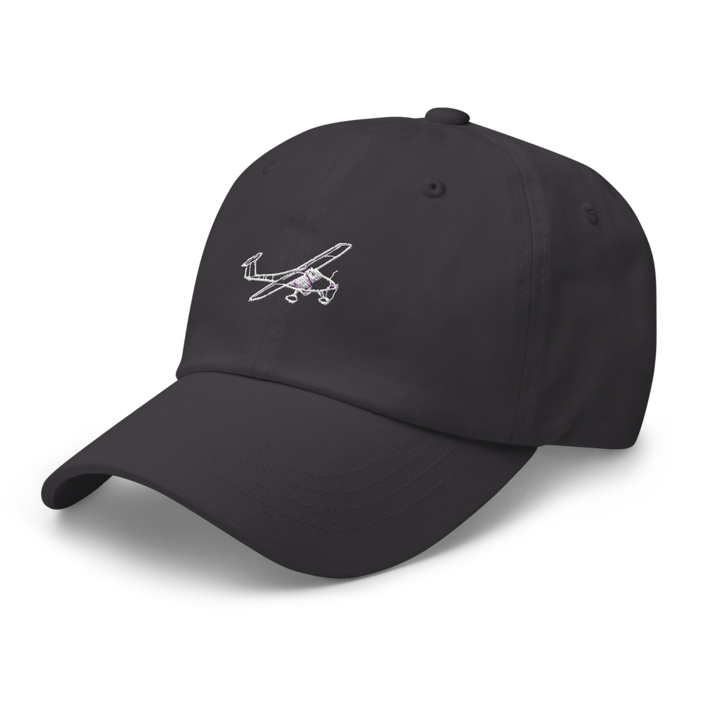 Pipistrel's Sporty Homebuilt LSA Hat 
