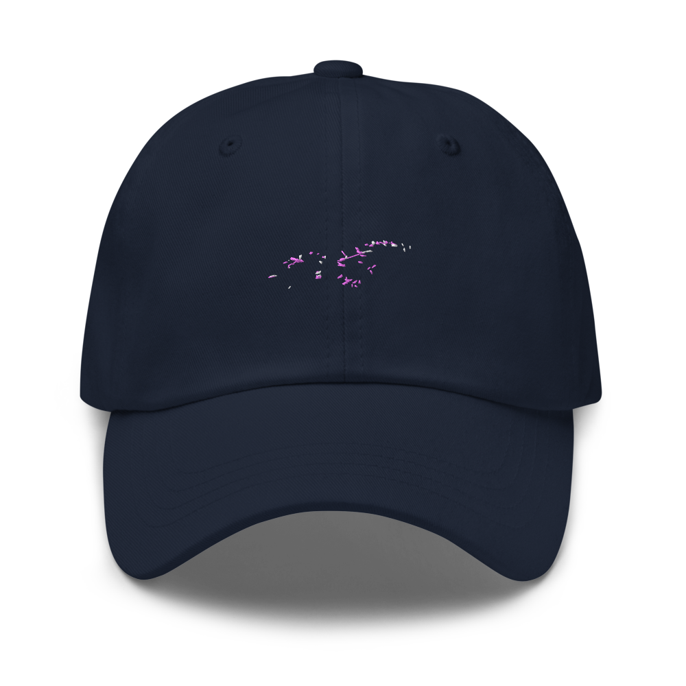 USAF F-4 Phantom II Jet 4 Hat 