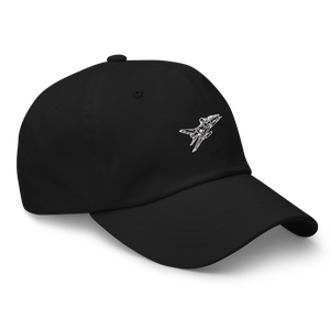 USAF's F-100 Super Sabre 3 Hat