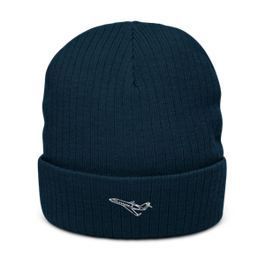 USAF's Versatile C-20 Jet Atlantis Recycled Cuffed Beanie