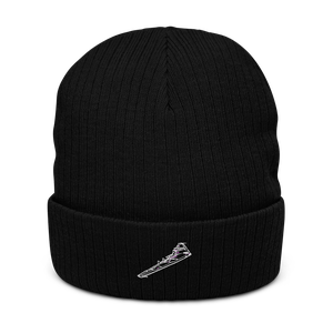 B-49 Flying Wing: The Futuristic Bomber Atlantis Recycled Cuffed Beanie