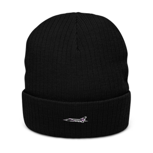 Shenyang J-8 Finback Interceptor Atlantis Recycled Cuffed Beanie