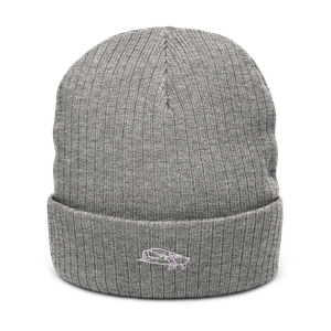 Cessna Skyhawk: Aviation Icon 2 Atlantis Recycled Cuffed Beanie