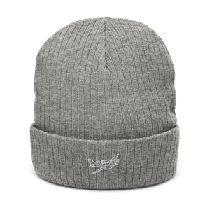 Beechcraft King Air 90 Icon Atlantis Recycled Cuffed Beanie