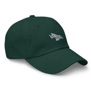 Versatile V/STOL AV-8A Harrier Hat