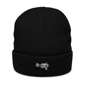Boeing F4B Navy Fighter Atlantis Recycled Cuffed Beanie
