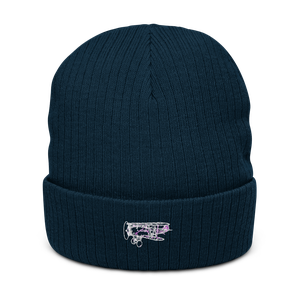 Boeing F3B-1 Navy Pioneer Atlantis Recycled Cuffed Beanie