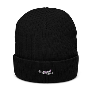 Douglas Dolphin Amphibian Atlantis Recycled Cuffed Beanie