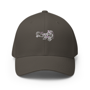 Curtiss Sparrowhawk Airship Defender Flexfit Hat