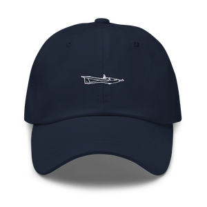 Pipistrel Apis Motor Glider Hat