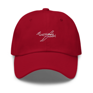 Scaled Composites Catbird Excellence Hat