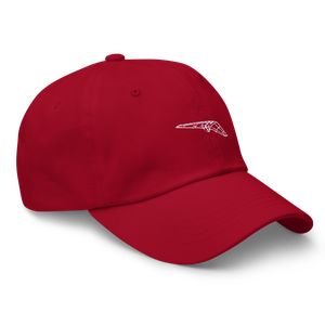 Innovative Davis Wing Concept Hat