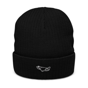 Boeing X-32 Fighter Prototype 2 Atlantis Recycled Cuffed Beanie