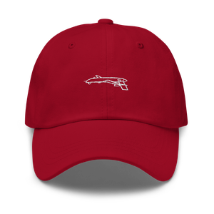 General Atomics I-GNAT 750 UAV Hat