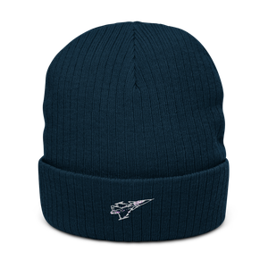 Saab JAS 39 Gripen - The Smart Fighter 2 Atlantis Recycled Cuffed Beanie