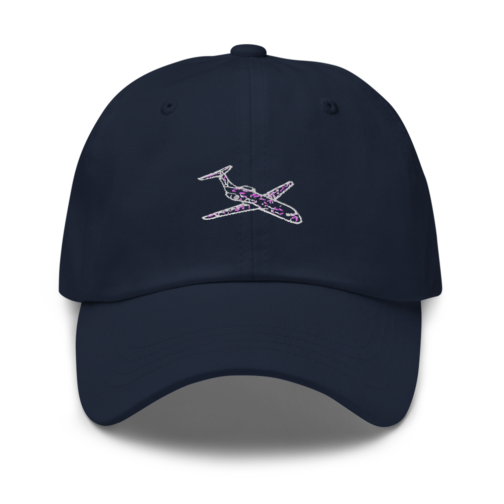 Fokker F100 Airliner Hat 