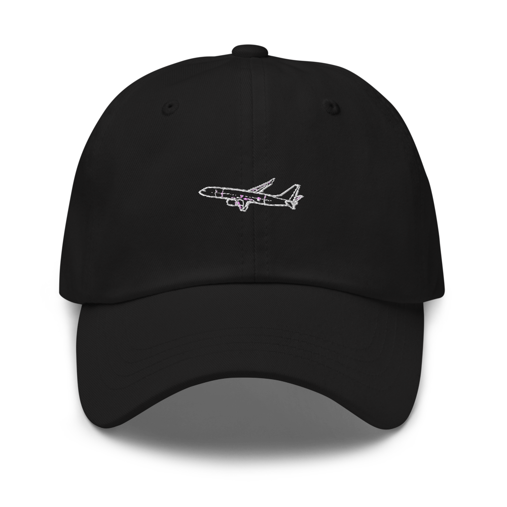 Boeing 737-900ER Airliner Hat 